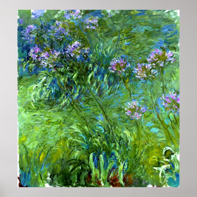 Pôster Claude Monet: Agapanthus (Frente)