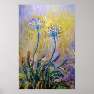 Poster Claude Monet - Agapanthus