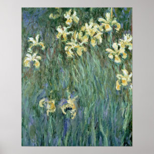 Poster Claude Monet as íris amarelas