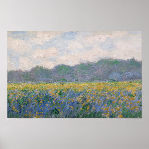 Poster Claude Monet - Campo de Íris Amarelos em Giverny