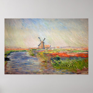 Poster Claude Monet - Campo de Tulipas na Holanda