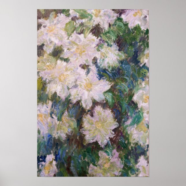 Poster Claude Monet - Clematite Branca (Frente)