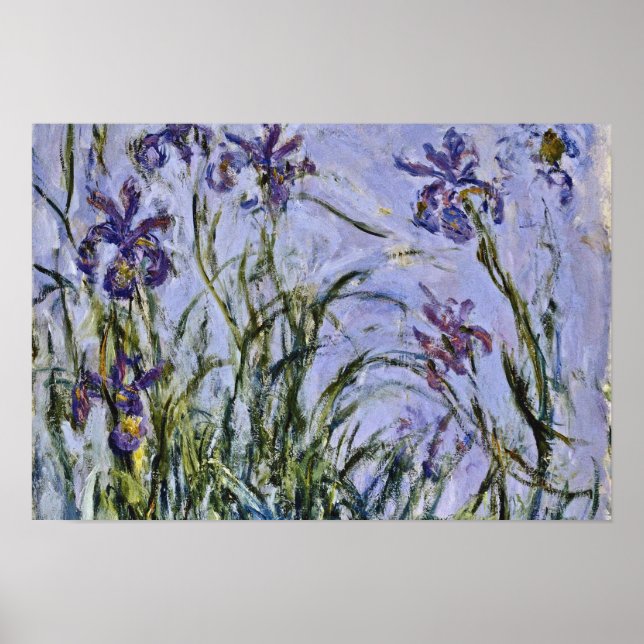 Poster Claude Monet - Iris Mauves (Frente)