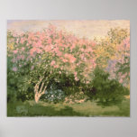 Poster Claude Monet | Lilac no Sol, 1873<br><div class="desc">Lilac no Sol,  1873 | por Claude Monet | Art Location: Pushkin Museum,  Moscou,  Rússia | Artista francês | Número de recolha de imagens: XIR182548</div>