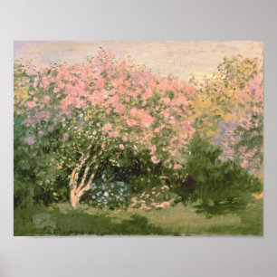 Poster Claude Monet   Lilac no Sol, 1873