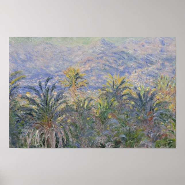 Pôster Claude Monet - Palm Trees em Bordighera (Frente)