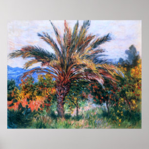 Poster Claude Monet: Palmeira em Bordighera