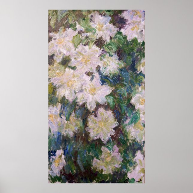 Poster Claude Monet - White Clematis (Frente)