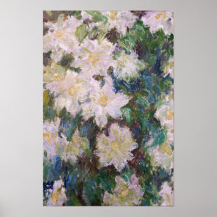 Poster Claude Monet - White Clematis