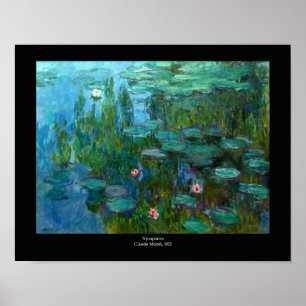 Poster Claude Monet's Ninfhéas