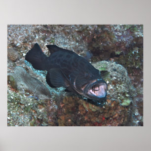 Poster Cleaning Station