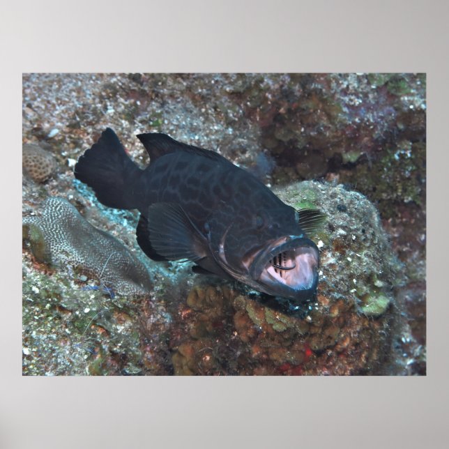 Poster Cleaning Station (Frente)