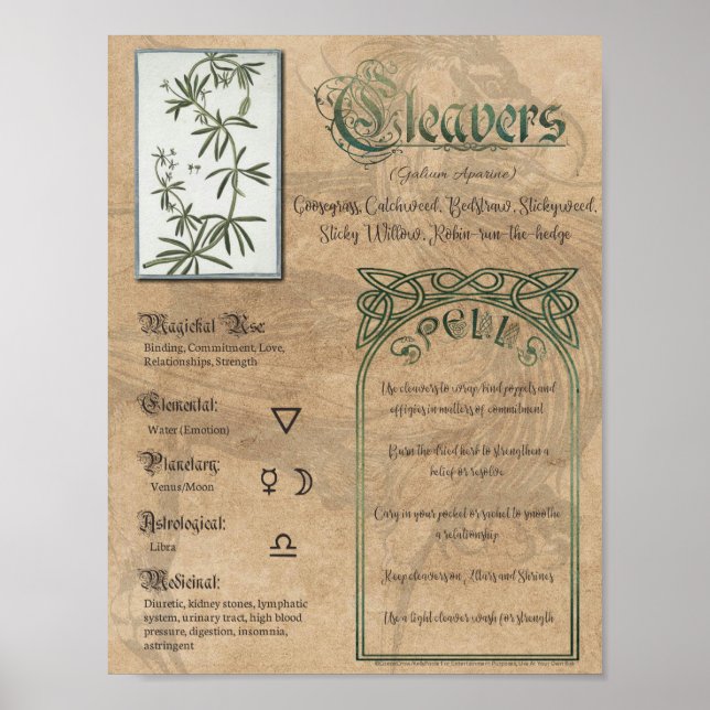 Poster Cleavers Herbal Book of Shadows Pagan Wiccan (Frente)