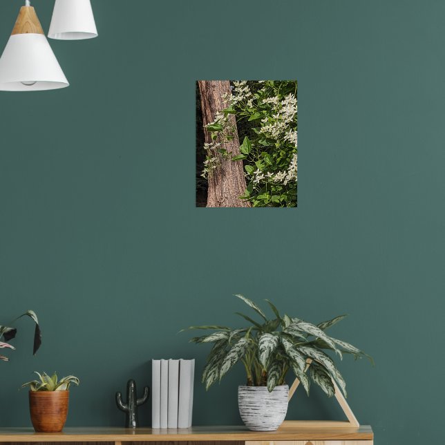 Poster Clematite Doce Outono Floral Branco (Sala de Estar 1)