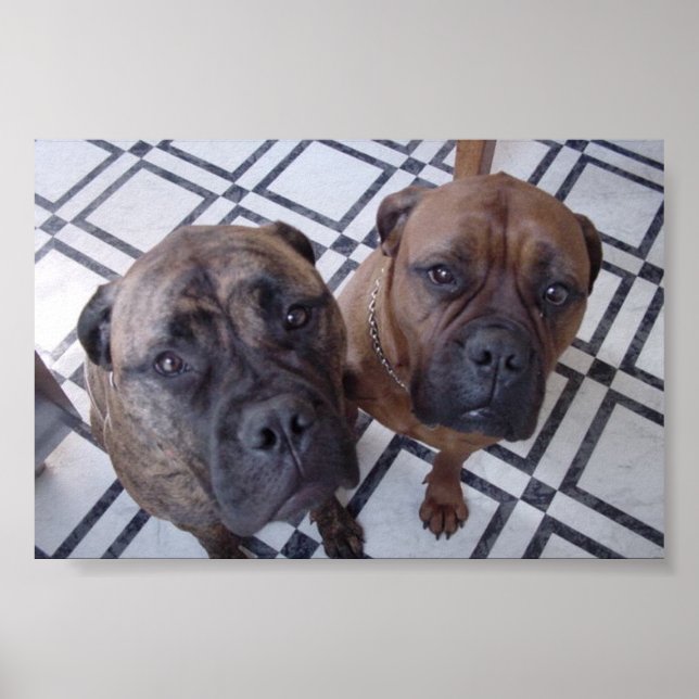 Poster Cleo e Luna (Frente)