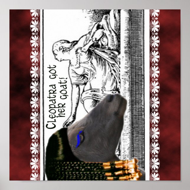 POSTER CLEOPATRA PEGOU A CASA DELA! CAPRINOS FAMOSOS NA H (Frente)