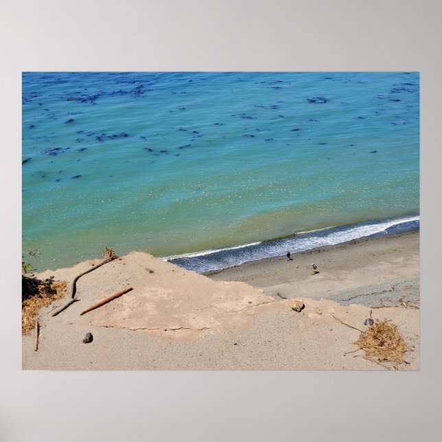 Poster Cliff sobre Beachcombers em Dungeness Wilderness (Frente)