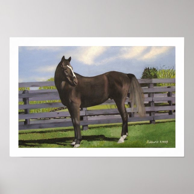 PÔSTER CLIVE (Frente)