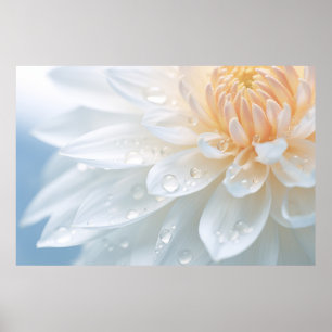 Poster Cloridrato Clorítemo Flor Natureza Petal Sereno