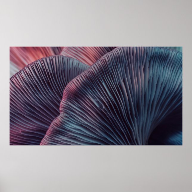 Poster Close up beautiful bunch mushrooms color light in  (Frente)