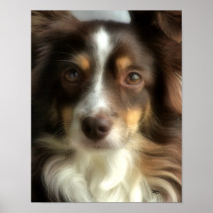 Pôster Close up de Rosie-