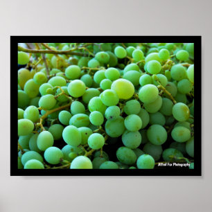 Poster Close-up de Uvas Brancas