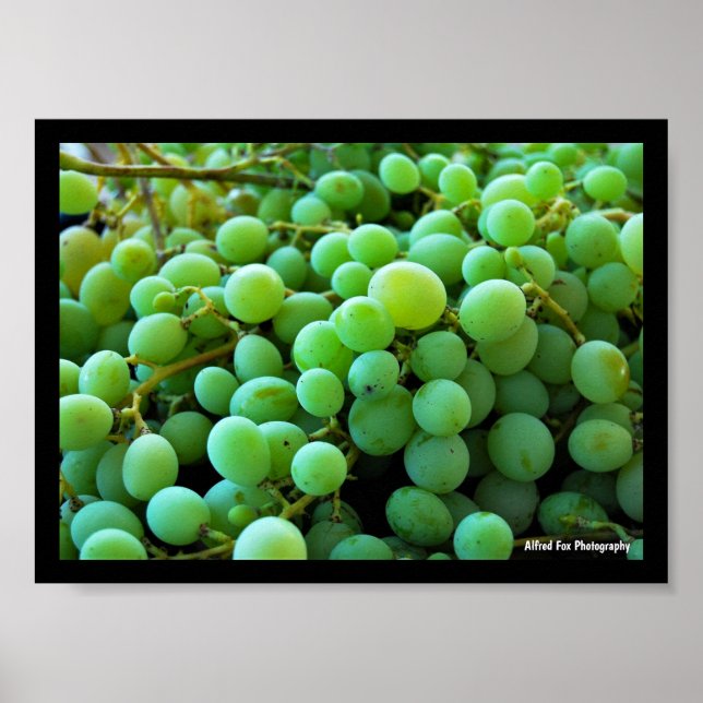 Poster Close-up de Uvas Brancas (Frente)