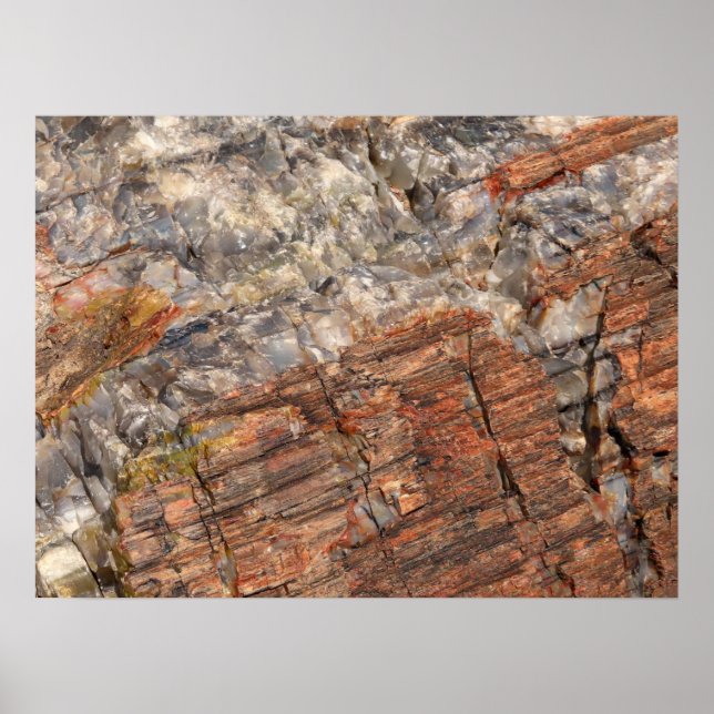 Poster Closeup I de Log Petrificado (Frente)