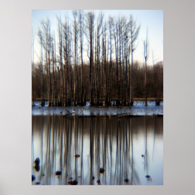 Pôster Cluster (Frente)