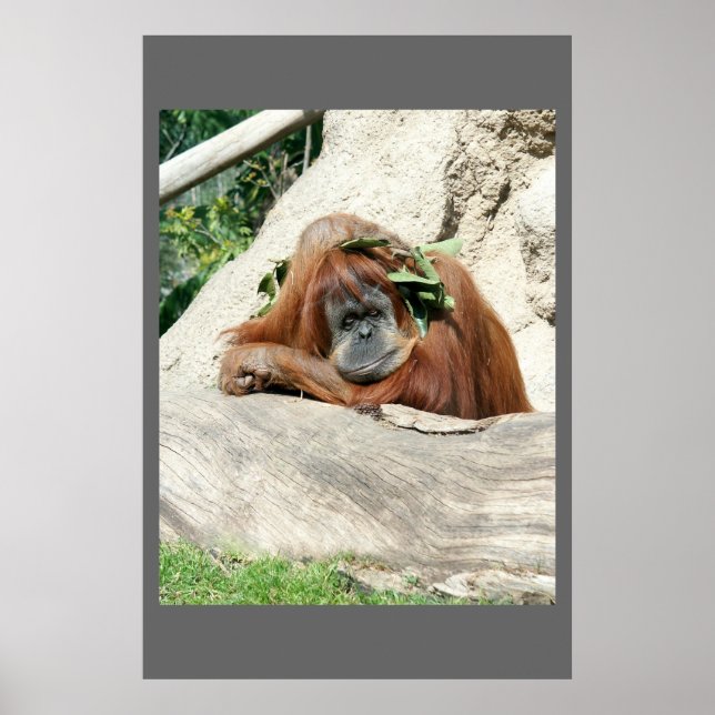 Pôster Clyde (Frente)