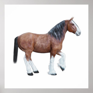 Poster Clydesdale 3
