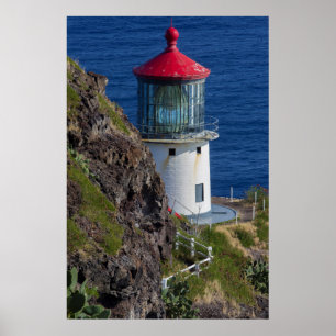Pôster Coastal lighthouse, Hawaii