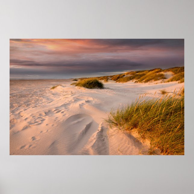 Poster Coastline | Saltum Beach, Denmark (Frente)