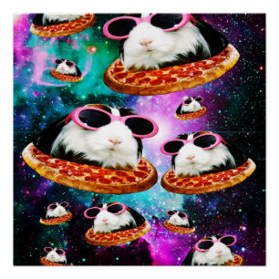 Pôster Cobaia engraçada do espaço