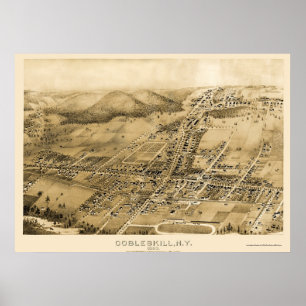 Pôster Cobbleskill, NY Panorâmica Map - 1883