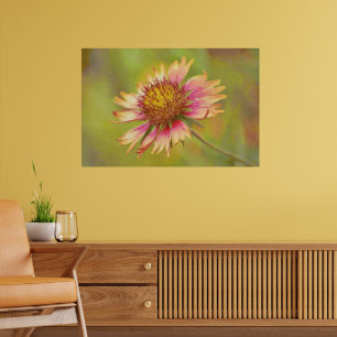 Poster Cobertor Indiano de Flor Silvestre do Texas Roda d