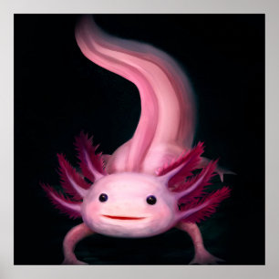 Poster Cobertura Axolotl Bela ideia de presente
