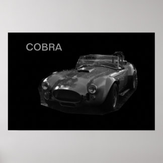 PÔSTER COBRA
