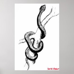 Poster cobra