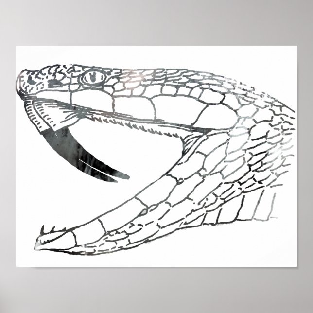 Pôster cobra 6.png (Frente)