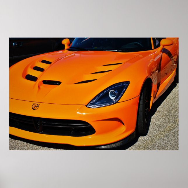 Pôster Cobra Bitten (Frente)