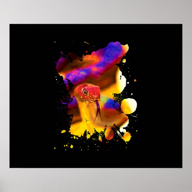 Poster Cobra colorido (Frente)