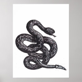 Poster Cobra Crotalus Cascavella (Víbora Pitonisa Venenos