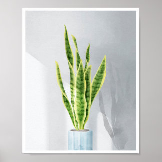 Poster Cobra, língua materna, Sansevieria