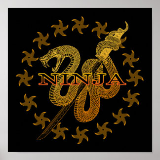Poster Cobra Ninja 01