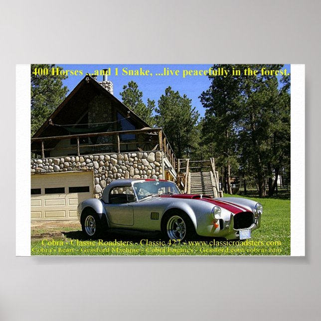 Pôster CobraNGrass (Frente)