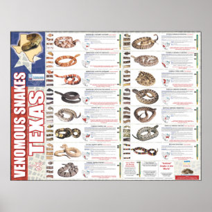 Pôster Cobras venenosas do Texas Poser pela NNTRC
