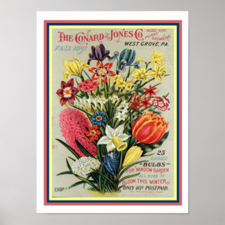Pôster cobrir 12x16 do Catálogo de Sementes de Flor 1897