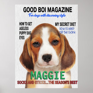 Poster Cobrir da Revista Beagle Parody