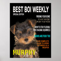 Cobrir da revista Yorkshire Terrier Parody